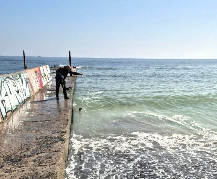 Море пожовкло 