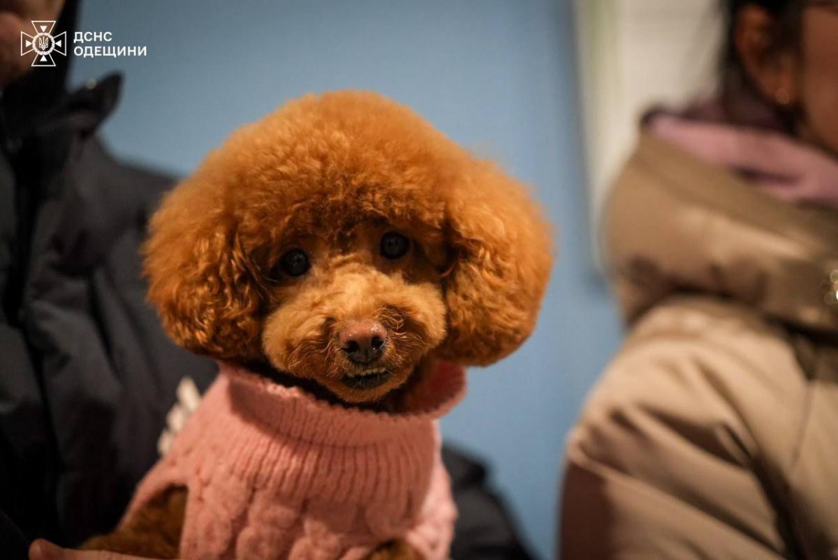 РФ атакувала житлові будинки в Одесі