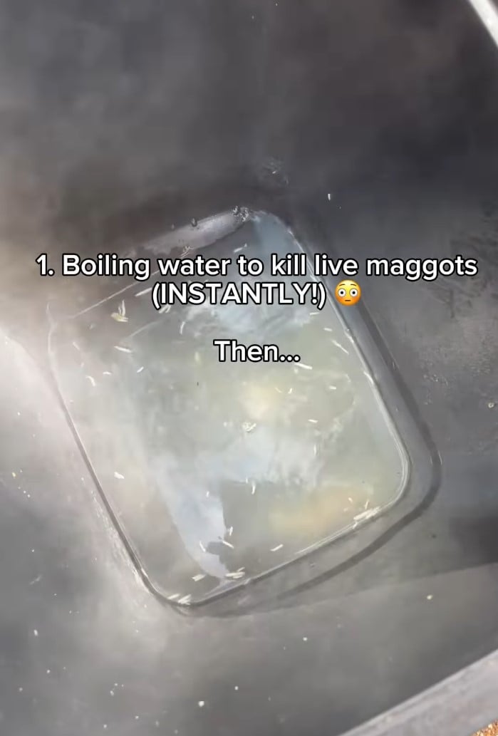 Експерти розповіли, як почистити сміттєвий бак