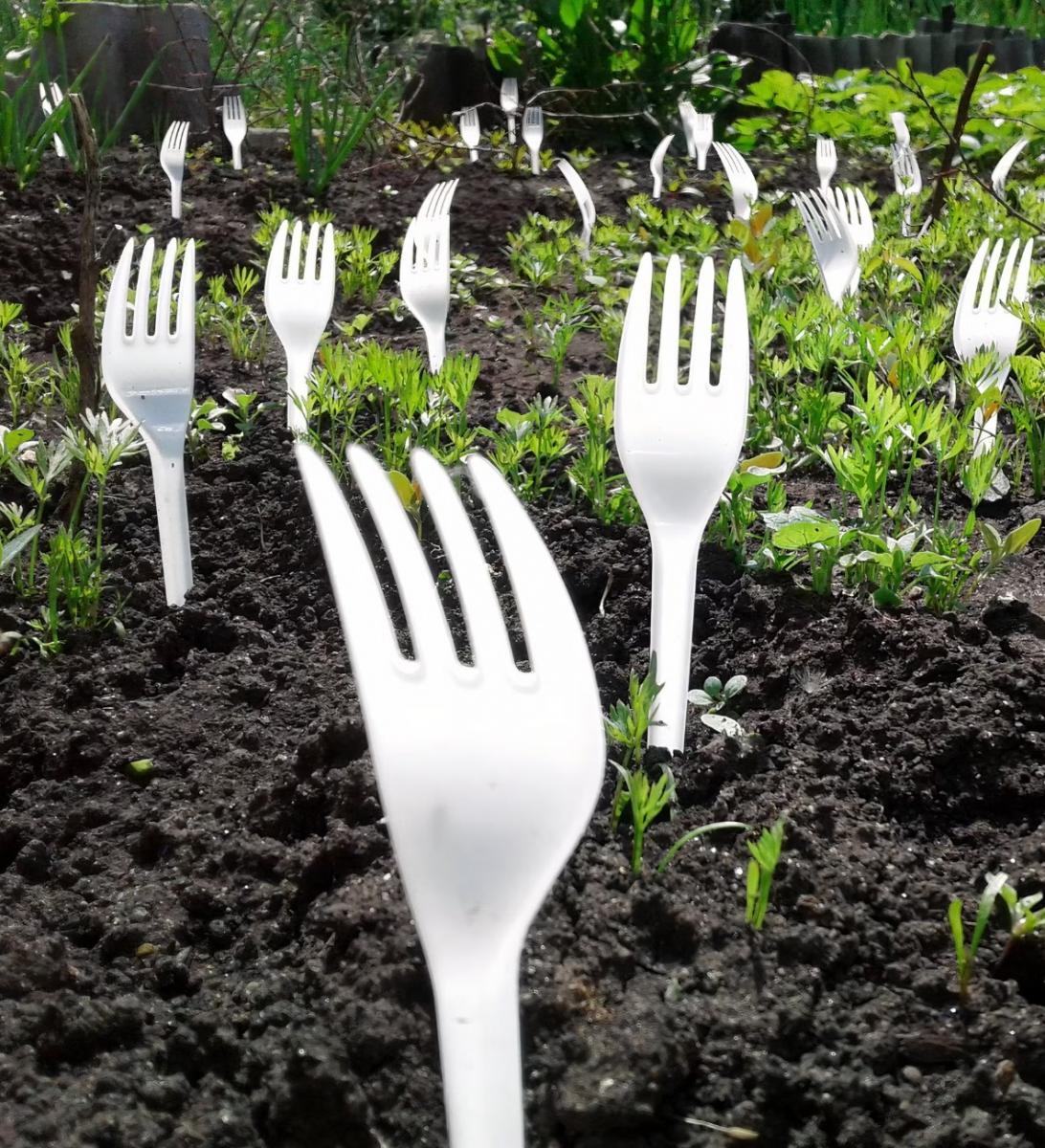 Пластикові вилки допомагають захистити врожай Пластикові вилки допомагають захистити врожай