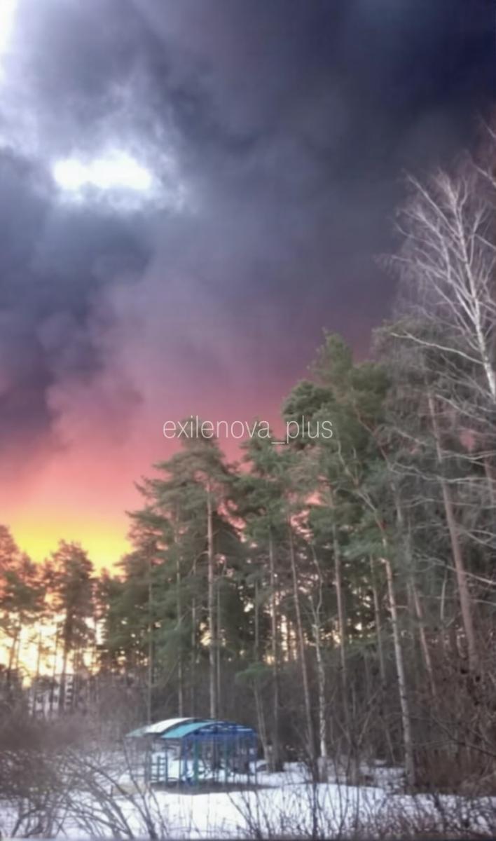 Удар по бюджету й логістиці РФ: у найбільшому нафтовому порту спалахнула пожежа