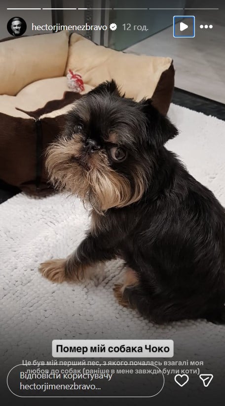 У Ектора Хіменеса-Браво помер пес