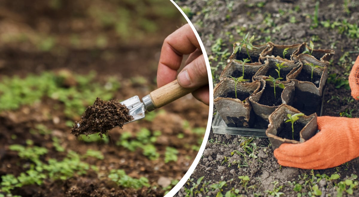 Посівний календар на квітень 2026: які дні допоможуть виростити рекордний урожай