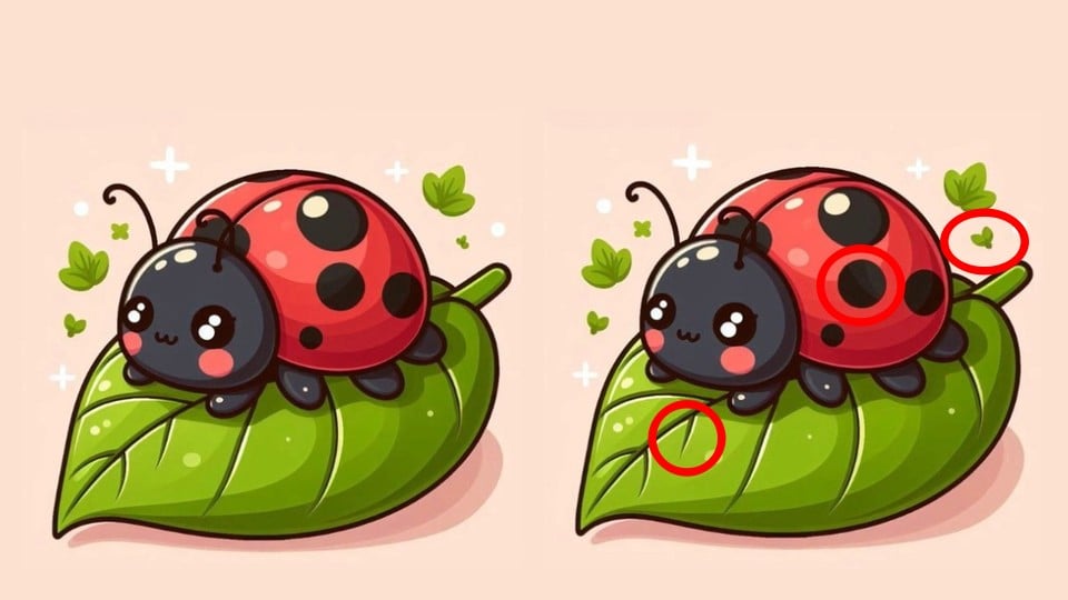 головоломка