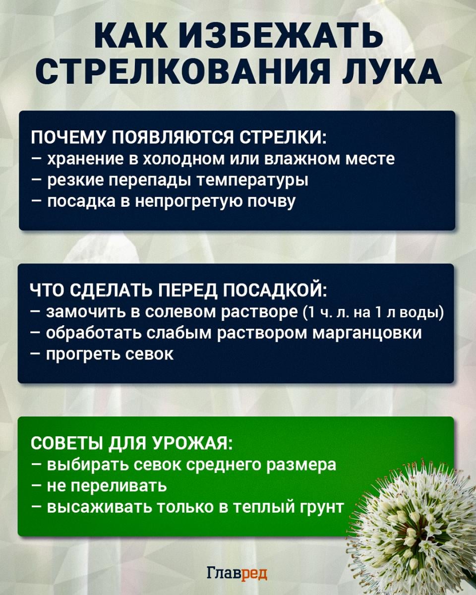 Что делать, чтобы лук не стрелковался