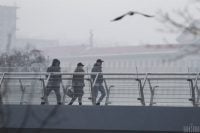 Несмотря на потепление: Тернопольскую область накроет непогода с туманом