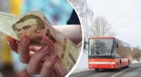Проезд в пригородных автобусах Житомира резко подорожает: названа новая цена билета