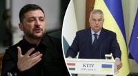 "ЗСУ можуть поговорити з Орбаном": Зеленський різко відповів на демарш Угорщини
