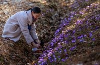 Украину накрывает весеннее потепление: где будет теплее всего