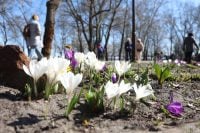 Долгожданное потепление придет в Днепр: когда будут самые теплые дни недели