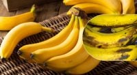 Бананы не будут чернеть неделями: простой трюк, о котором мало кто знает