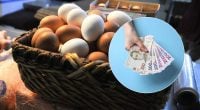 Ціна вже під 100 гривень: в Україні рекордно дорожчає один продукт