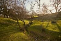 Буде майже +20: Україну накриває нова хвиля потепління