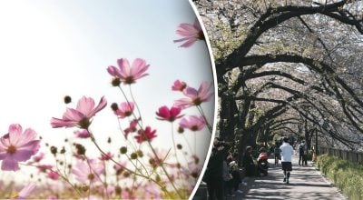 Гороскоп на тиждень 