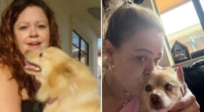 Собака зникла 12 років тому: несподіваний дзвінок розчулив власницю (фото)