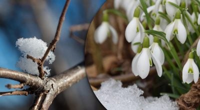 На Житомирщину мчить потепління: коли прогріє до +9 градусів