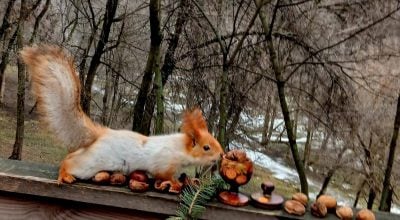 Днепр, погода