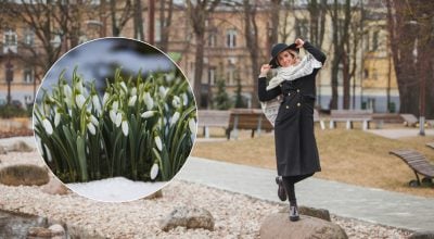 На Житомирщині відчутно потеплішає: коли очікується перша по-справжньому весняна погода На Житомирщині відчутно потеплішає: коли очікується перша по-справжньому весняна погода