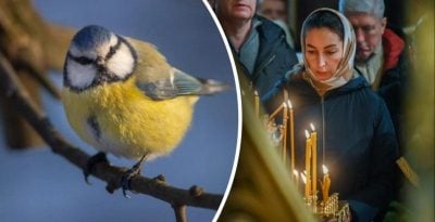 Кому молитися 4 березня для зцілення від хвороб: яке церковне свято