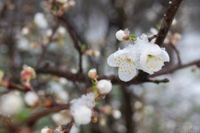 Прийшла справжня весна: в Тернополі очікується підвищення температури