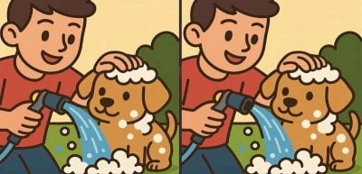 Тест на IQ: потрібно знайти 3 відмінності на зображенні хлопчика з собакою за 31 с