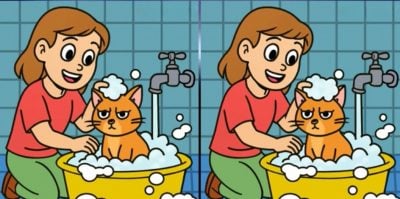 Тест на IQ: потрібно знайти 3 відмінності на зображенні дівчинки з котом за 33 с