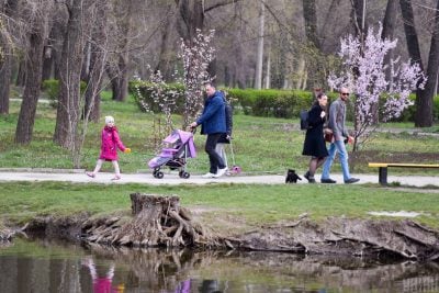 Повітря прогріється до +13 градусів: в Україну йде сонячна та тепла погода