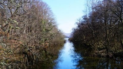 Мороз ще не здається: на Тернопільщині очікуються температурні гойдалки