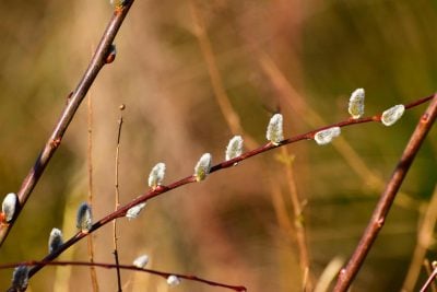 Потепление в Житомирской области: синоптики предупредили о резком скачке температуры
