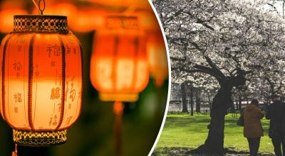 Удача на порозі: 3 знакам китайського зодіаку нечувано пощастить до кінця березня