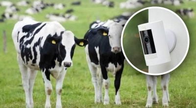 Чоловік перевірив камеру відеоспостереження і не повірив своїм очам – що він побачив