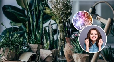 Кімнатні рослини, гороскоп 