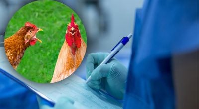 Лікар пересадив людський зуб курці