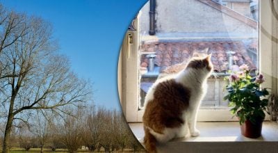 На Рівненщині погіршиться погода: синоптики попереджають про небезпеку