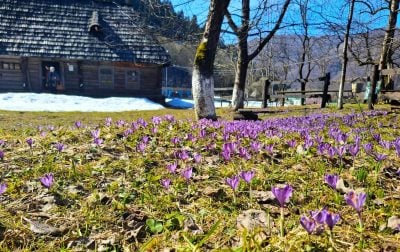 Антициклон визначатиме погоду на Львівщині: прогноз на 14 березня