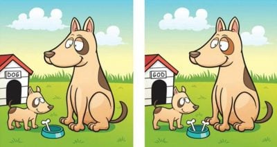 головоломка головоломка