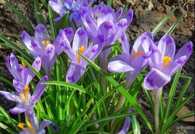 На Рівненщині різко зміниться погода: прогноз на 15 березня