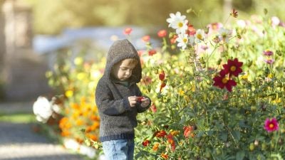 Тепло, але з характером: коли Львівську область розігріє до +17°