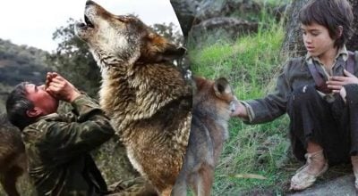 Розчарувався в людях: чоловік 12 років жив у печері з вовками