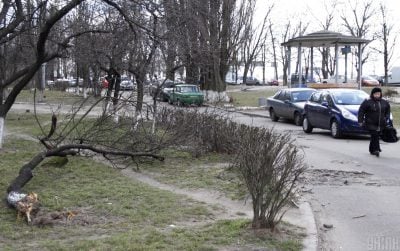 Температура впаде: сильний вітер принесе на Тернопільщину похолодання