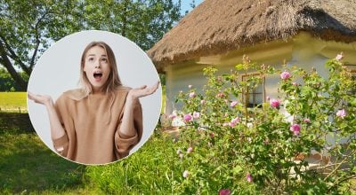 Що означає давнє українське слово "сіни" і звідки воно походить