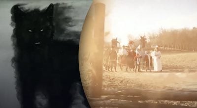 Які тварини приносили українцям достаток і щастя: таємниці фольклору Які тварини приносили українцям достаток і щастя: таємниці фольклору