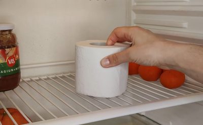 Німці перевірили: навіщо класти туалетний папір у холодильник