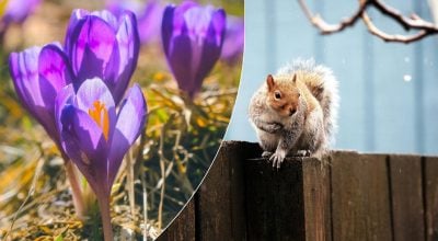 Україну накриють дощі та мокрий сніг, але невдовзі потеплішає: синоптикиня назвала дату