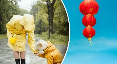 Китайский гороскоп на завтра, 19 марта: Тиграм - стресс, Козлам - позитив