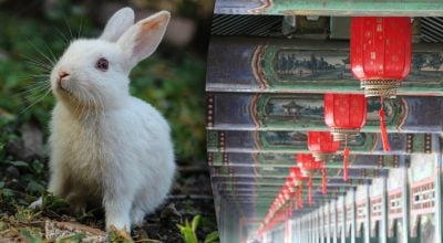 Китайский гороскоп на завтра, 20 марта: Быкам - конфликты, Кроликам - лишения