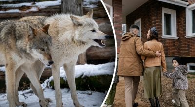 Сім'я втекла з дому: їх тероризували "невідомі чудовиська"