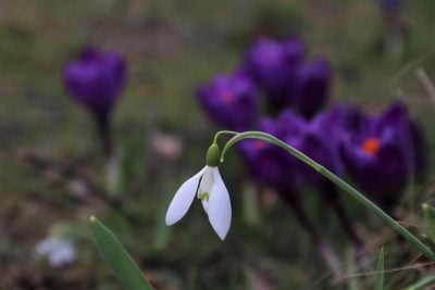 Сонце та тепло на паузі: на Тернопільщині затримається хмарна погода