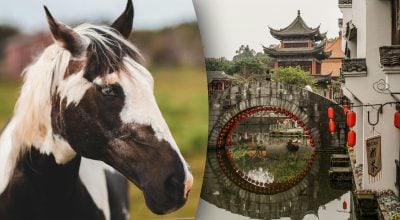 Китайський гороскоп на завтра, 21 березня: Коням — романтика, Собакам — можливості