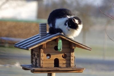 весеннее потепление